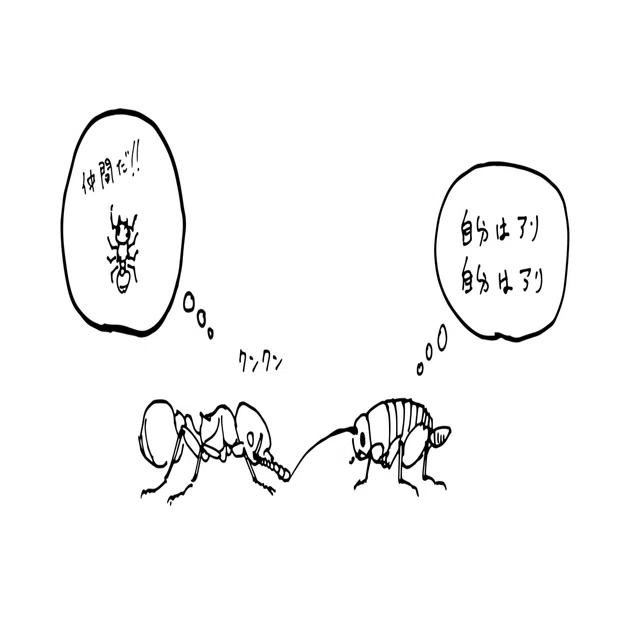 アリの巣に居候するアリヅカコオロギの話 浜松科学館 みらいーら