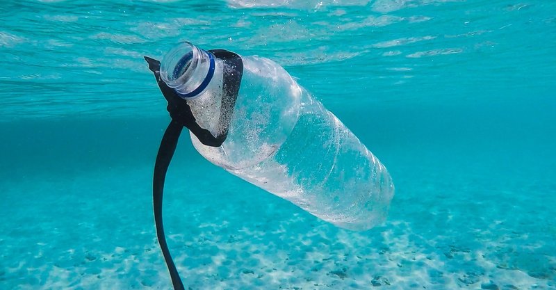 問題 海洋 プラスチック