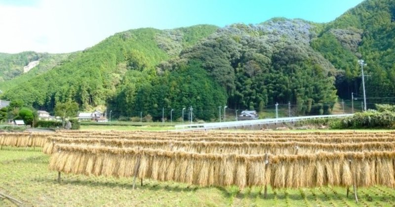 未来に収穫するもの 6つのチャネリングゲートから教えてもらったもの 清水あき奈 高次情報ファシリテーター Note 未来に収穫するもの 6つのチャネリングゲートから教えてもらったもの 清水あき奈 高次情報ファシリテーター Note