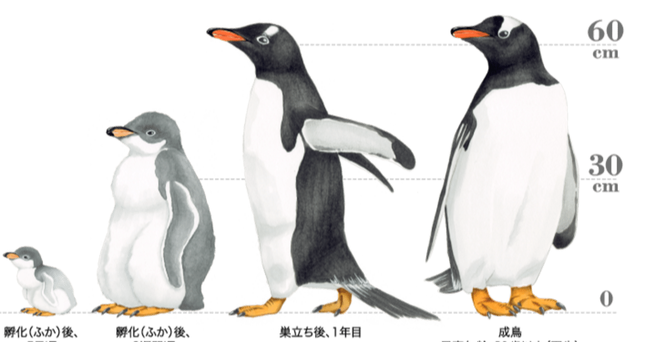 第12回 ジェンツーペンギン 翆野 大地 Note 第12回 ジェンツーペンギン 翆野 大地 Note