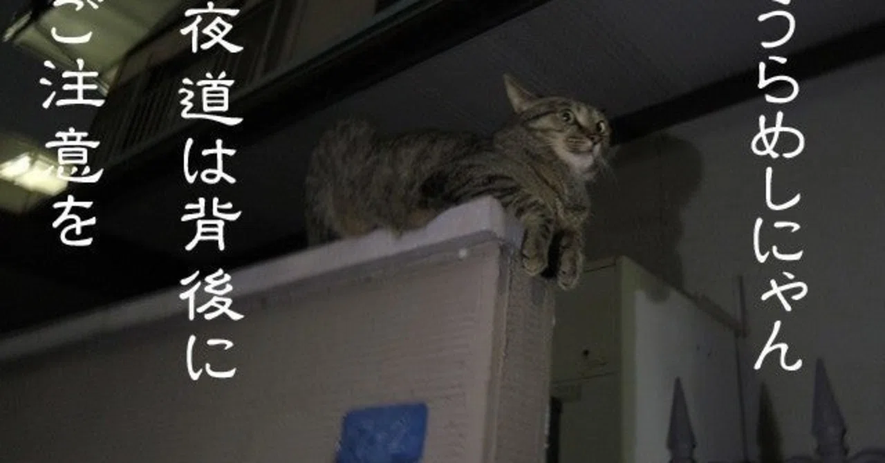 猫を轢いたあとに ふー Note