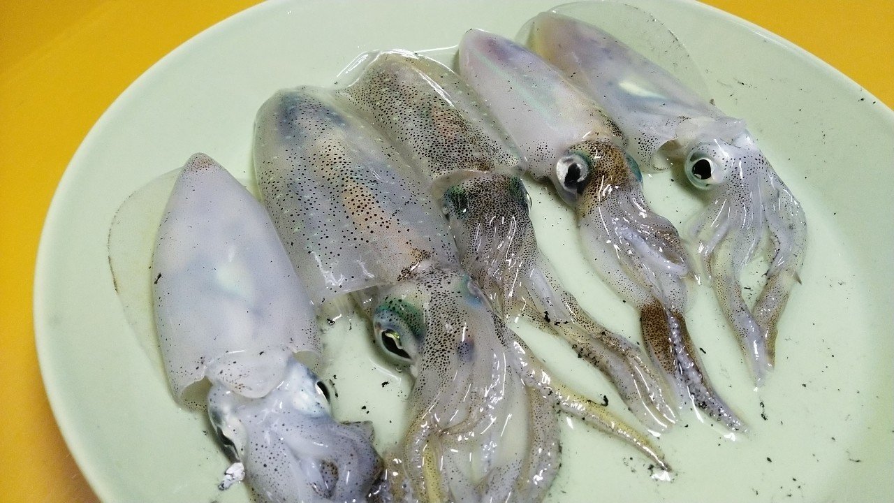 自分で釣ったアオリイカのレモンソルト焼き レモンソルター 離島に住む双子の母 Note 自分で釣ったアオリイカのレモンソルト焼き レモンソルター 離島に住む双子の母 Note