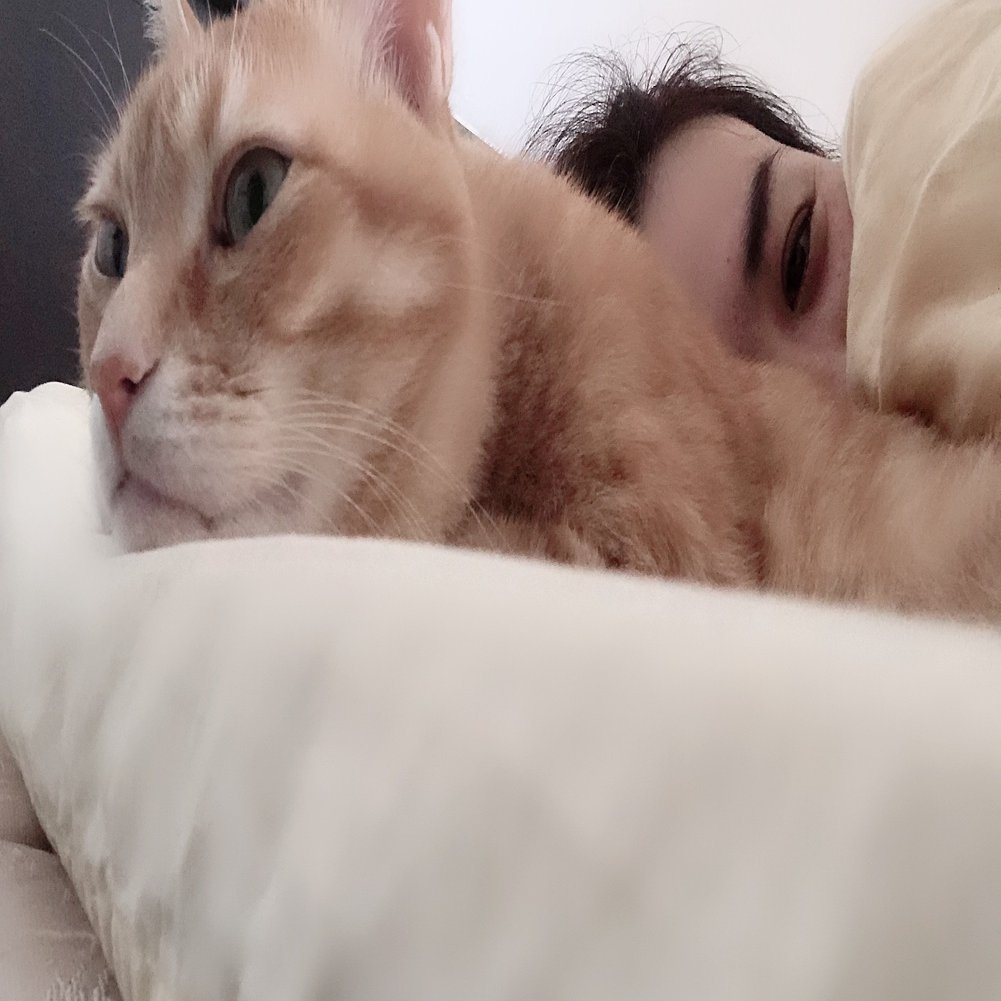 振込先を間違え「組み戻し」を体験した話｜Fujii Sayaka 藤井さやか