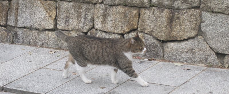 「ふや〜」と生きていきたいのだ。