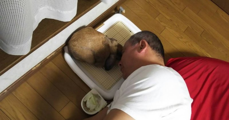 時間はみんな 平等ではない Time Waits For No One もとせん Note