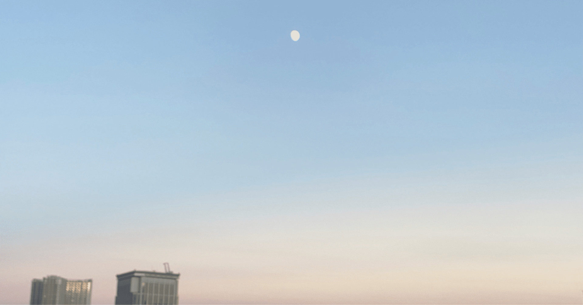 れいちぇる｜フリーライター×Notion大好き芸人｜note