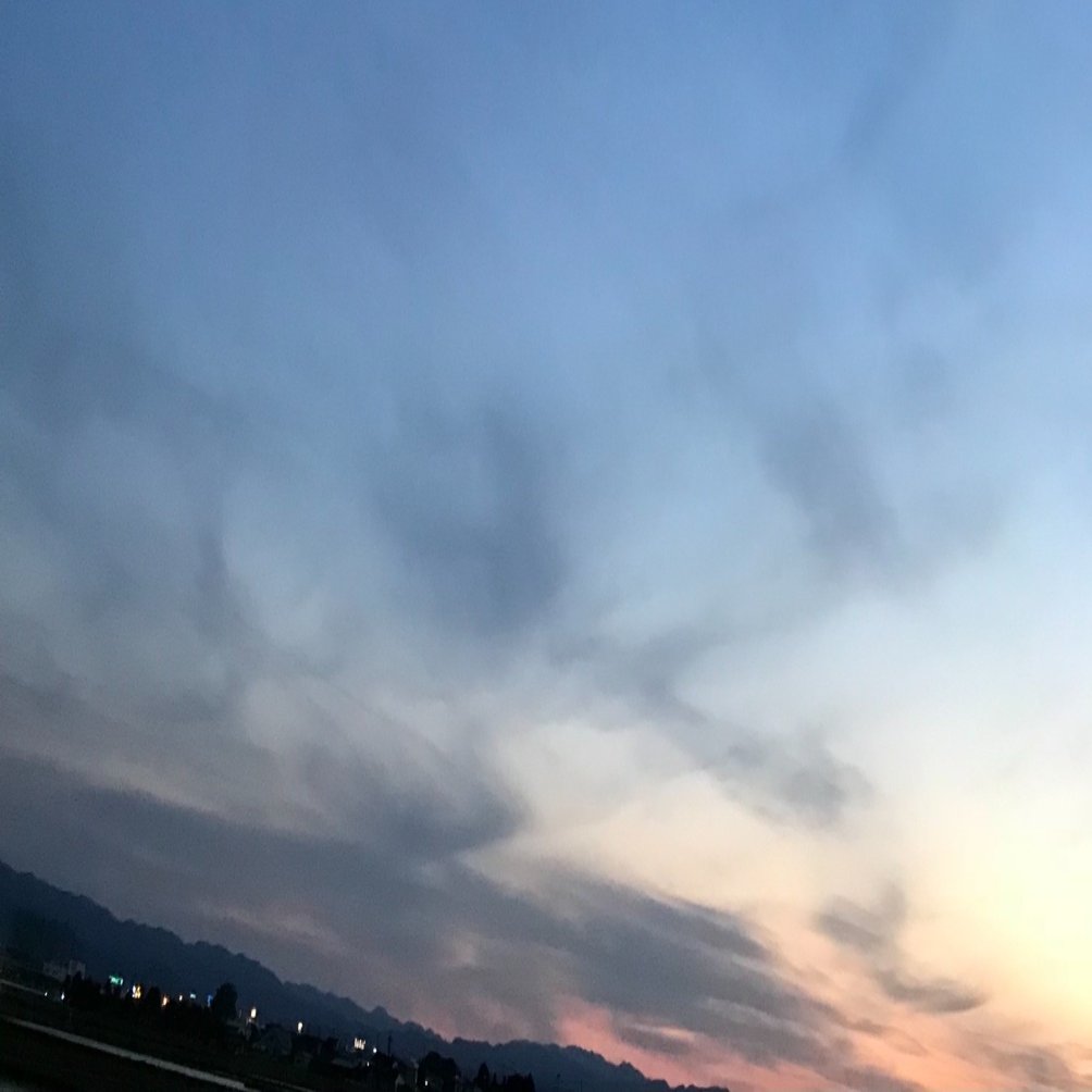 ネタバレ注意 オルフェ から Tenet テネット へ 価値観のアップデート ニッポニアニッポン Note