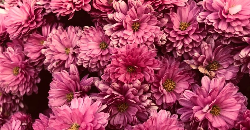 メニュー詳細 Hsp カラーアナリストさとかによる 優しい人のためのパーソナルカラー診断 さとか パーソナルカラーアナリスト Note