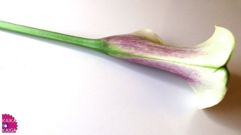 青の時代 ピカソのカラー カイカトカイガ Note