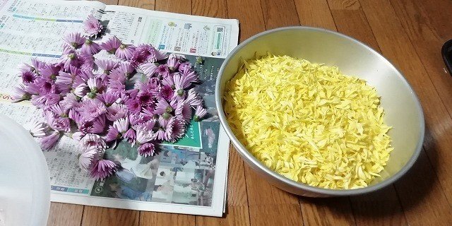 秋の旬の食べ物といえば Andansipoo Note 秋の旬の食べ物といえば Andansipoo Note