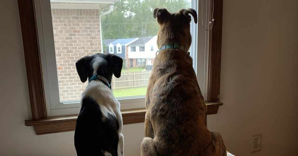 エドモンド サリー Remi Inari 作曲家 Note