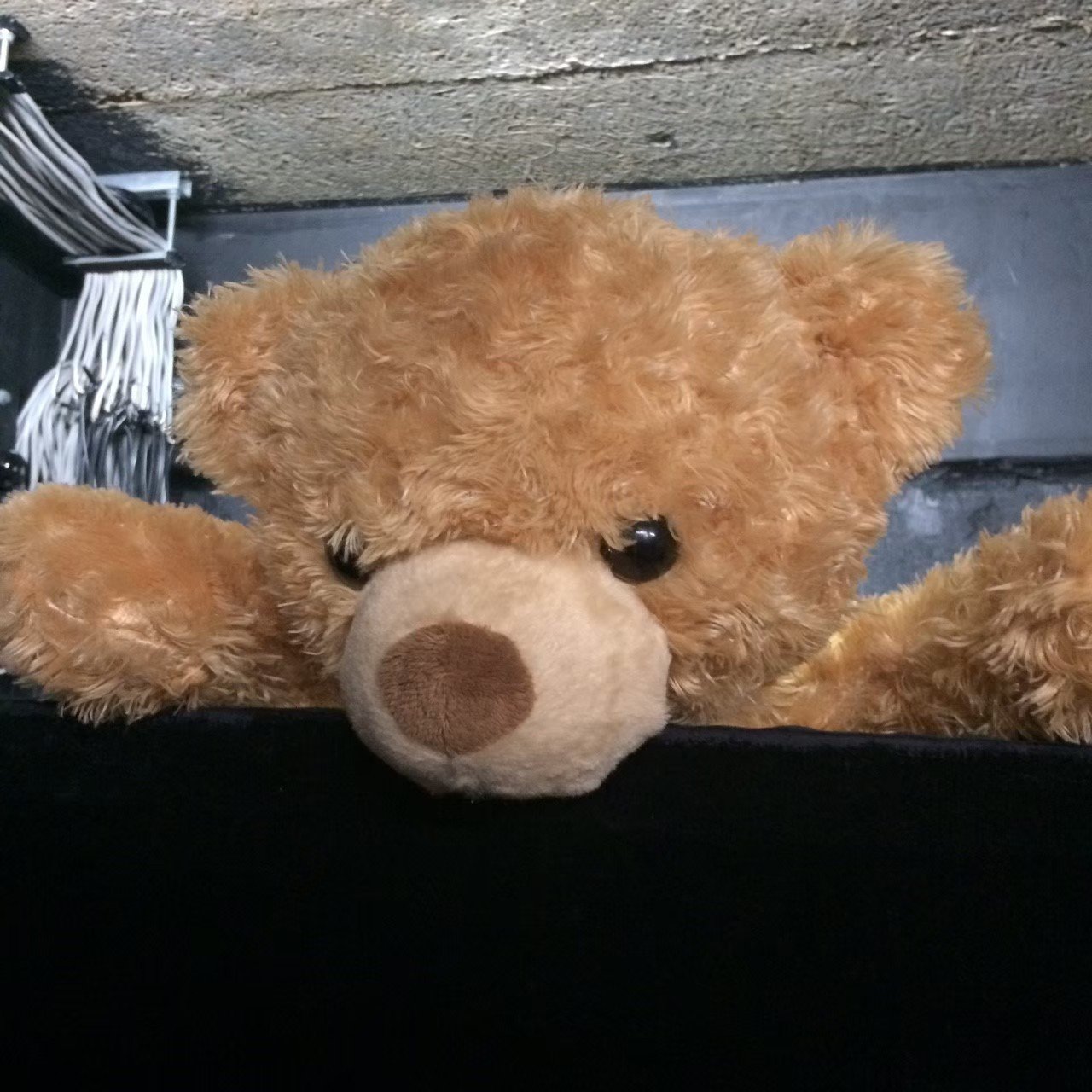 北川純子さんという女優 武藤賀洋 Note 北川純子さんという女優 武藤賀洋 Note