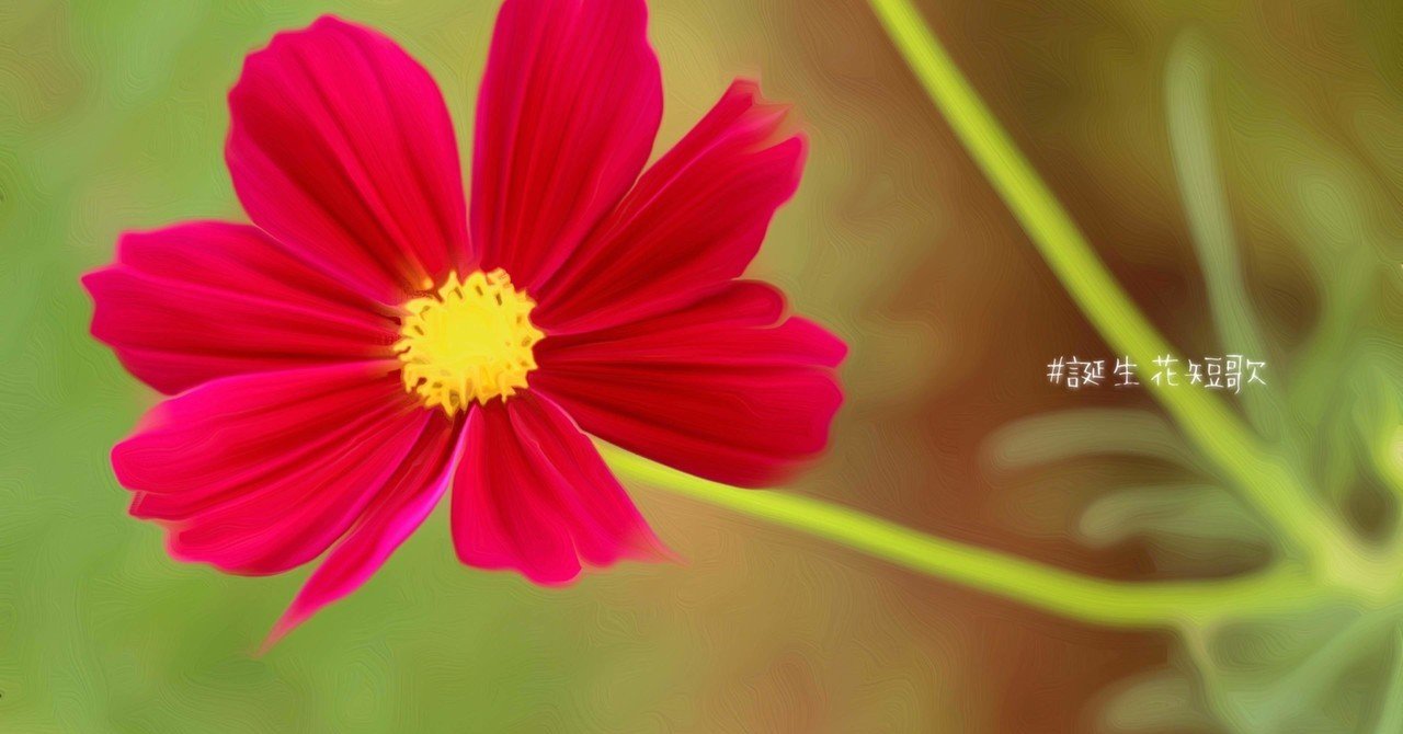 10月6日 誕生花は紅秋桜 誕生花短歌 御子柴 流歌 Note 10月6日 誕生花は紅秋桜 誕生花短歌 御子柴 流歌 Note