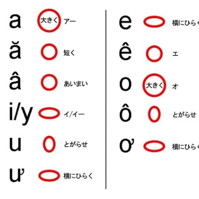 わかりやすい!【ベトナム語の母音】|ベトナムこーいち