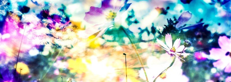 26 こんにちは こんばんは は何時から使う グランドマスターセラピスト 都築由美 Note