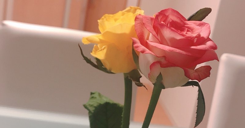 女ってめんどくさい Etoile Note