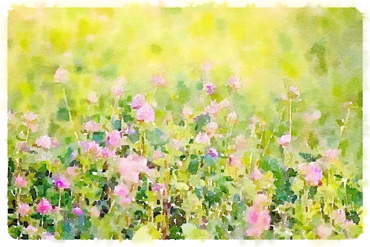 こんにちは 今日の誕生花は ムラサキツメクサ 兄弟のシロツメクサや以前紹介したレンゲソウとともに 牧草として移入された植物で 空き地や川辺など様々なところで見ることが出来ます 花言葉は 実直 や Tockni Note