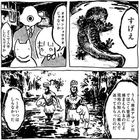 【古本】panpanya / 大山椒魚事件 マンガ感想】panpanya先生のマンガについて書き散らかす - 『大山椒魚
