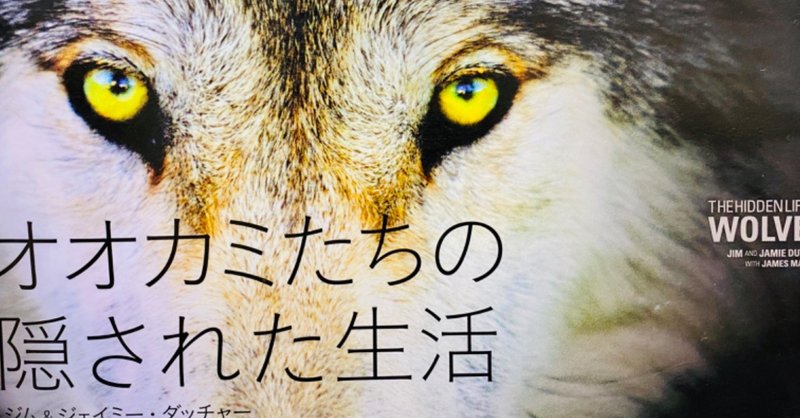 オオカミたちの隠された生活 野生イヌの百科 アラスカの雪原にて オオカミさん関連の本 3冊 読了 Masa マサ Toeic 英語 勉強の記録 Note