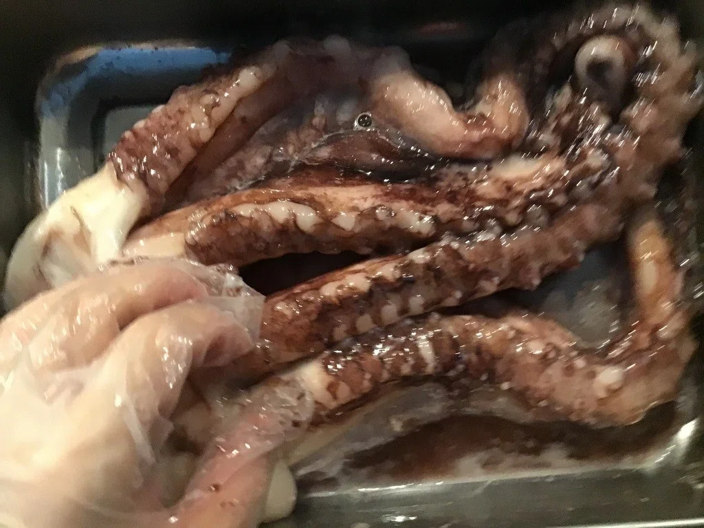 画像4