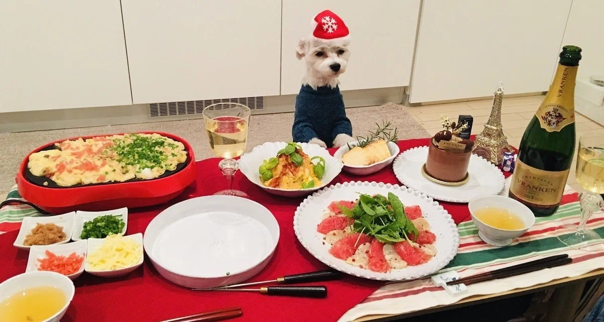 画像26