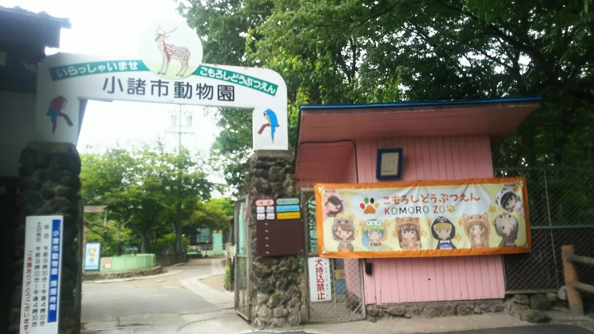 画像4