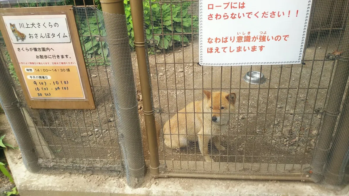 画像6