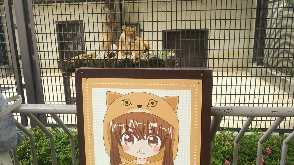 画像8