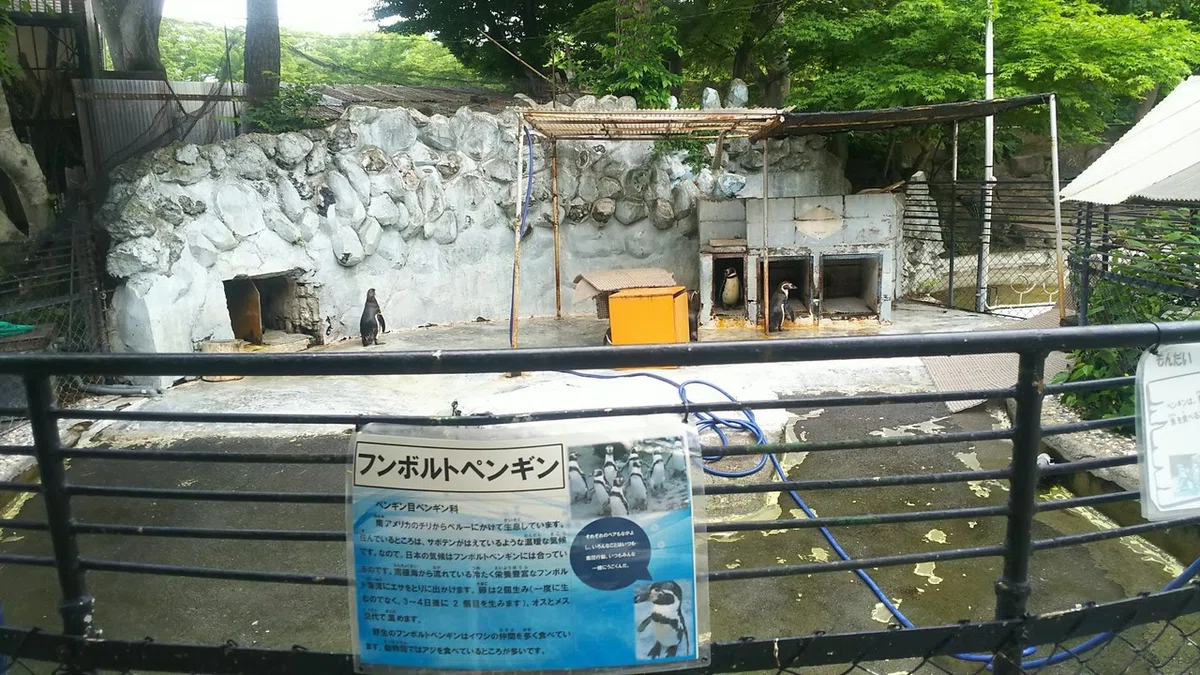 画像13
