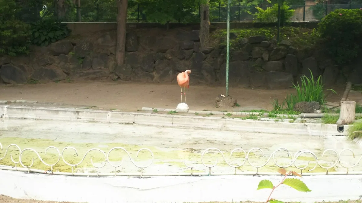 画像12