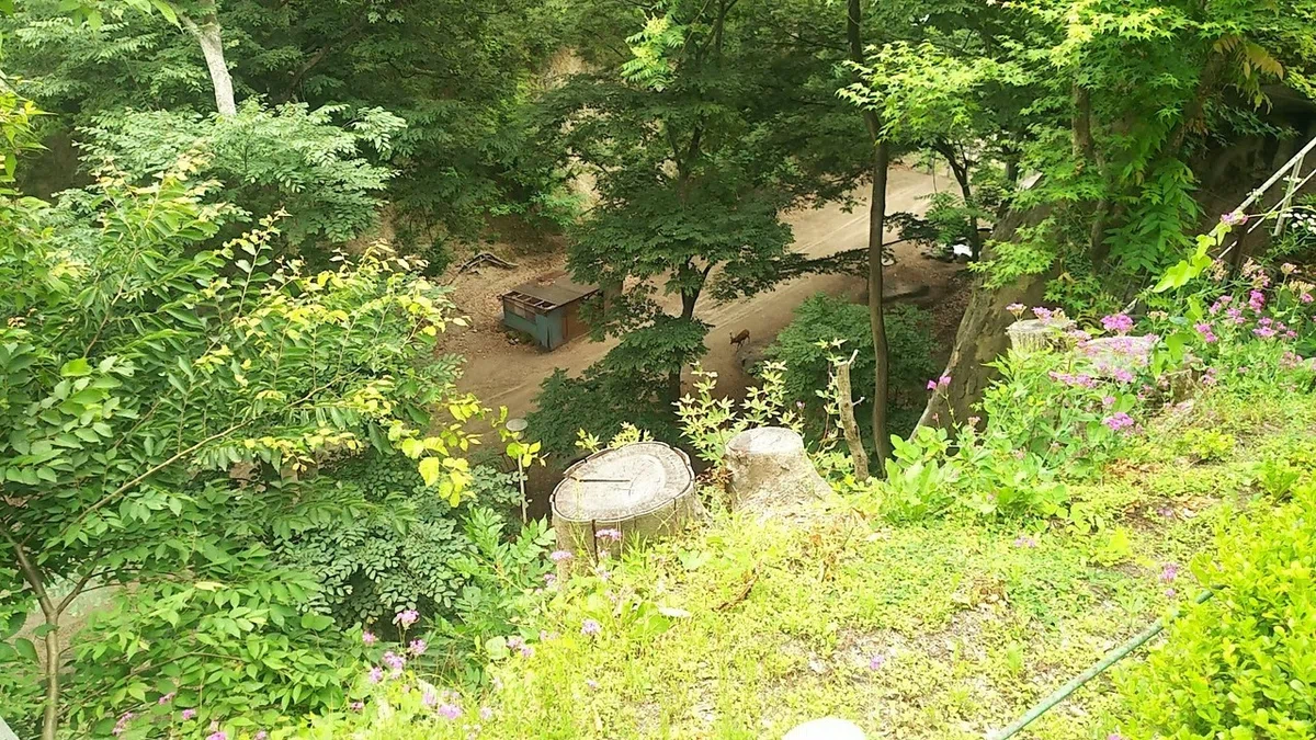 画像17
