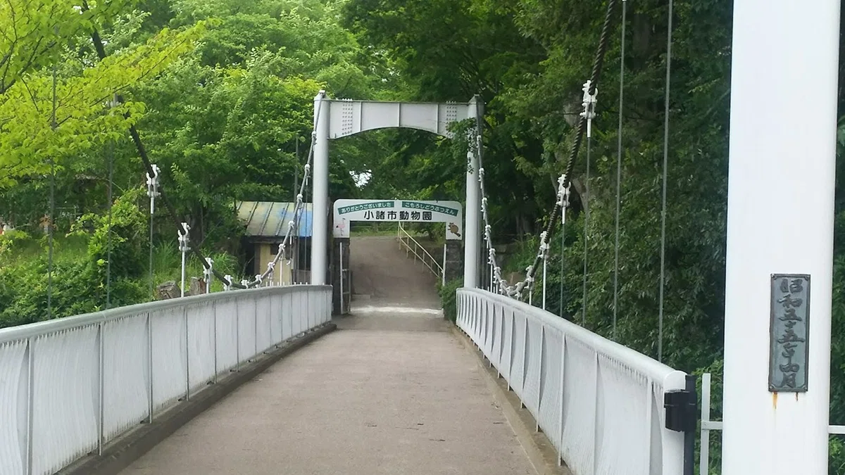 画像18