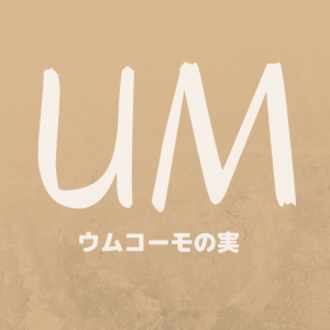 本当にかっこいい人って ウムコーモの実 Note
