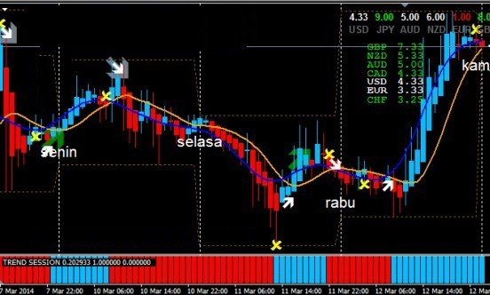 専業でバイナリーオプションによる生活ができるかエントリーやトレード手法について徹底解説します シグナルツール システム ハイローオーストラリア Mt4 Bainaryea Note
