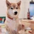 もふもふ