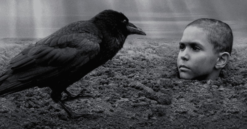 映画 異端の鳥 美しいものだけを見ていては 人間の本当の姿を知ることができない 峯丸ともか Note 映画 異端の鳥 美しいものだけを見ていては 人間の本当の姿を知ることができない 峯丸ともか Note