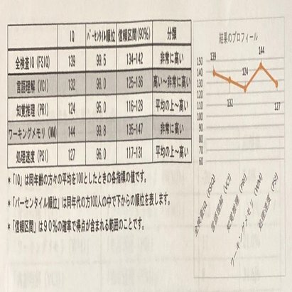 知能検査受けてiq調べたら得意 不得意が分かって良かった話 おてつ Note