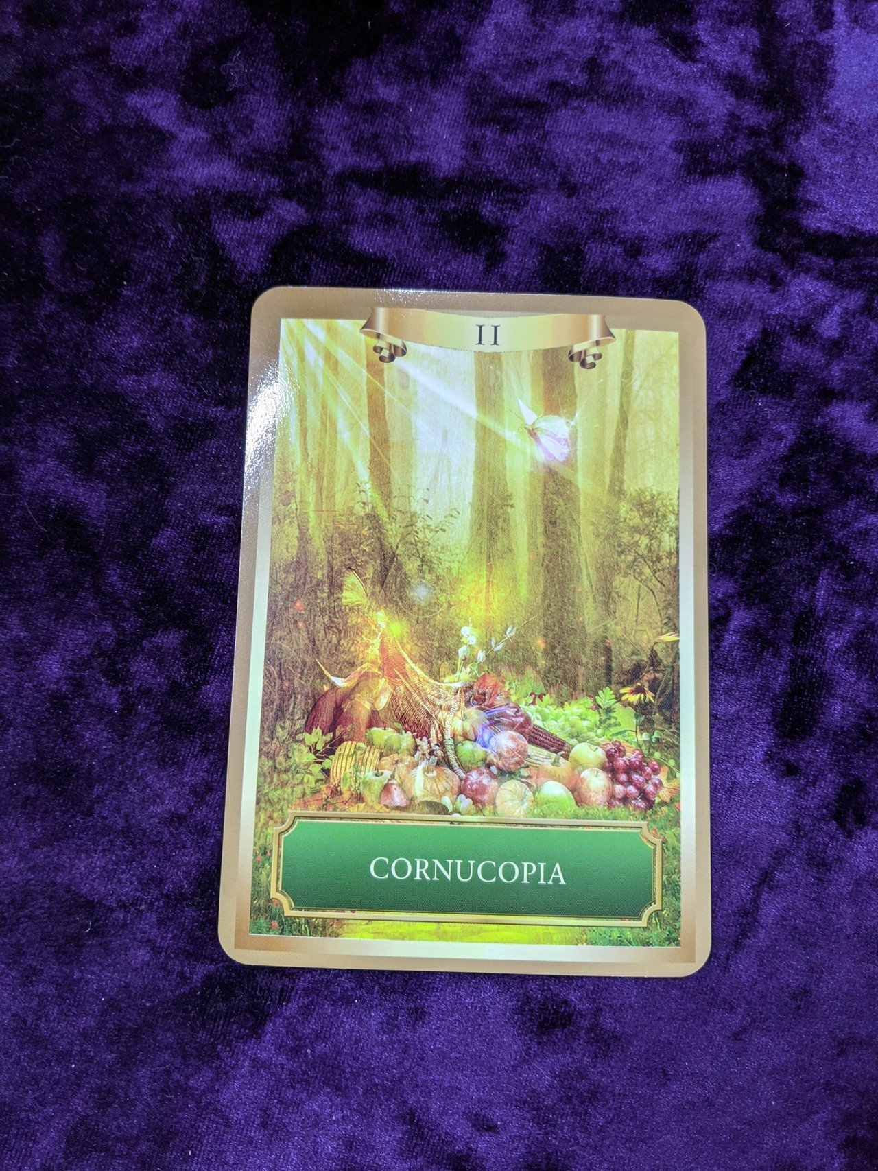 Cornucopia コルヌコピア これは 豊穣の角 と呼ばれるもので 豊かさの象徴となっています このカードを引いたということは すべての豊かさが手に入ることを示していて 金銭的なものだけ 純 天笑 天晶 Note