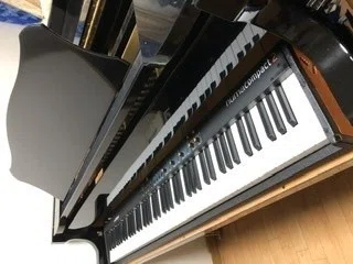 画像6
