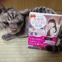 時代小説沼に落ちそうです 上田 聡子 ほしちか Note 時代小説沼に落ちそうです 上田 聡子 ほしちか Note
