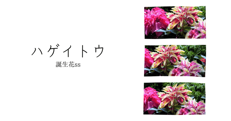葉鶏頭 の新着タグ記事一覧 Note つくる つながる とどける 葉鶏頭 の新着タグ記事一覧 Note つくる つながる とどける