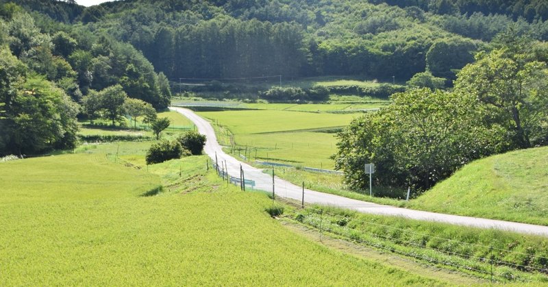 本家の後継 １５　顔に出る