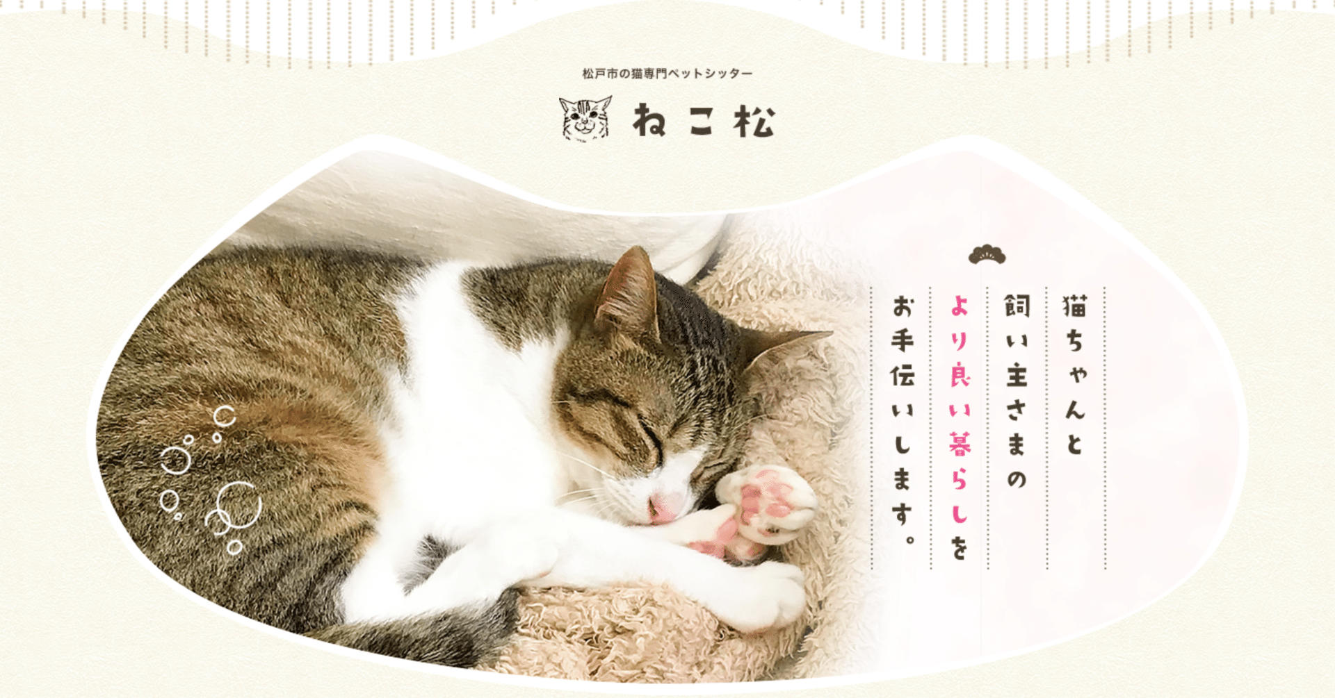 5 猫専門ペットシッター ねこ松 Kaori Mama Note 5 猫専門ペットシッター ねこ松 Kaori Mama Note