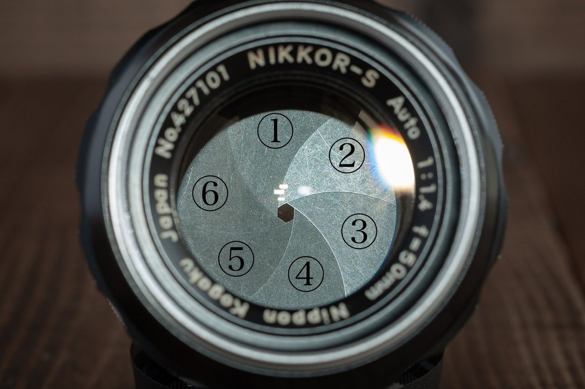 実は結構紛らわしい⁈ Nikonの伝統的標準レンズ「NIKKOR 50mm F1