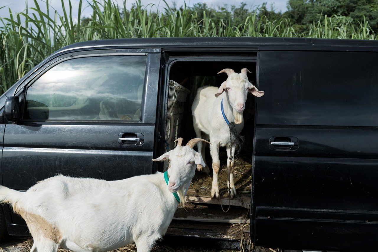 写真で一言 の回答の作り方 ウラさんのお笑い塾 Note 写真で一言 の回答の作り方 ウラさんのお笑い塾 Note