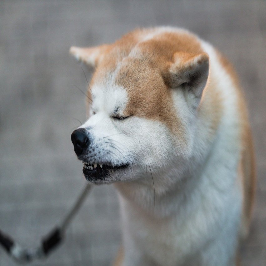 写真で一言 の回答の作り方 ウラさんのお笑い塾 Note