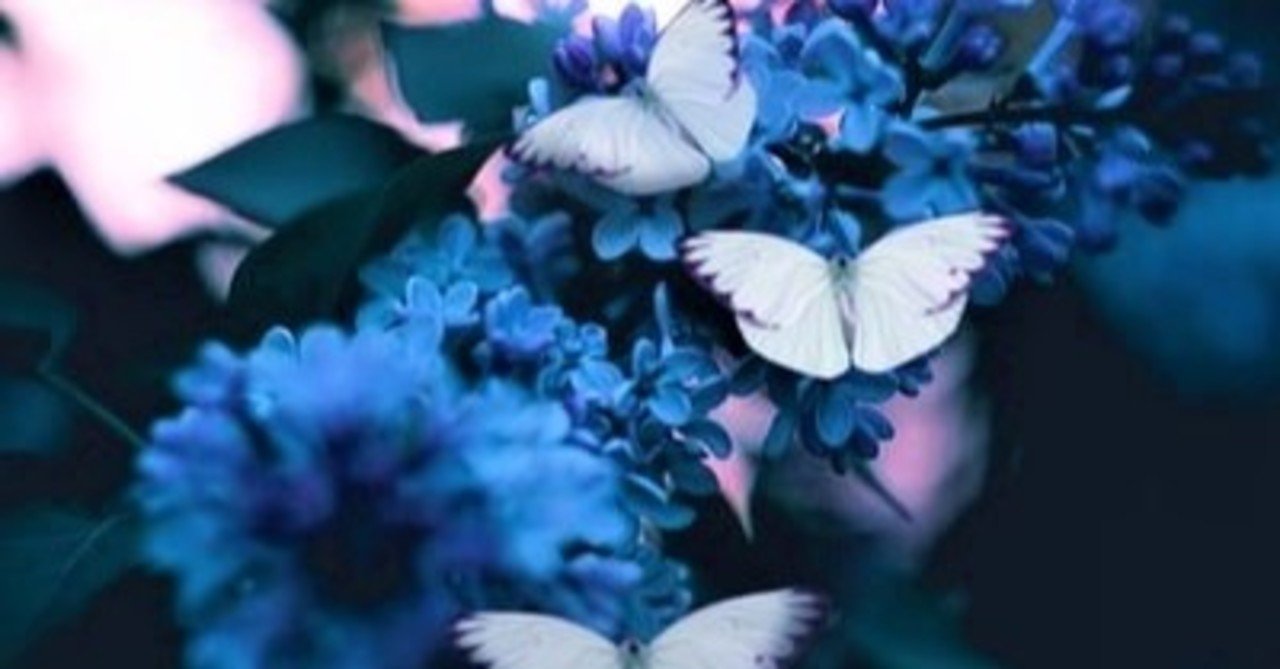 短編小説 僕の背中でチョウチョウの羽がパタパタして 千本松由季 Note