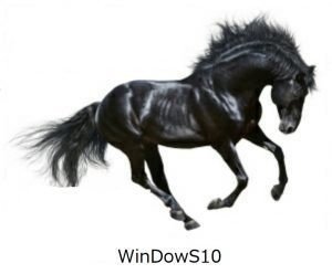 Windows10 マザーボードを交換してライセンス認証する方法 Feltman Sachs Note