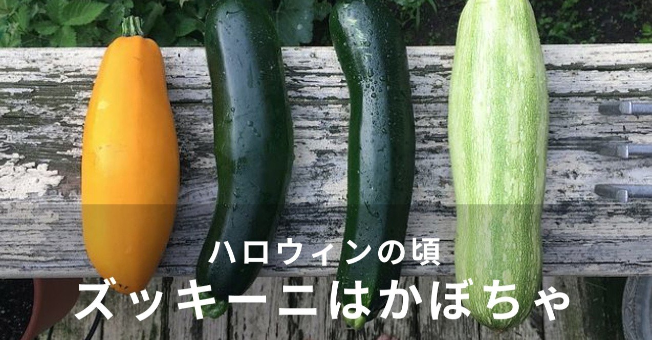 ズッキーニはかぼちゃの仲間 管理栄養士 小松美佐子 Note