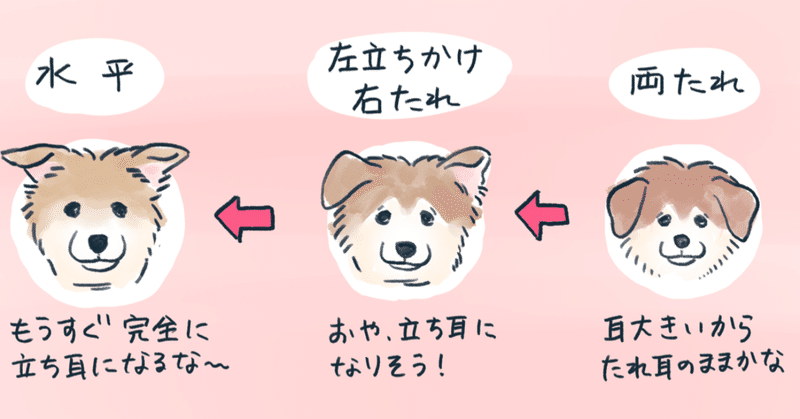 小ネタ 犬の記録 4 19 さかぐちまや Note